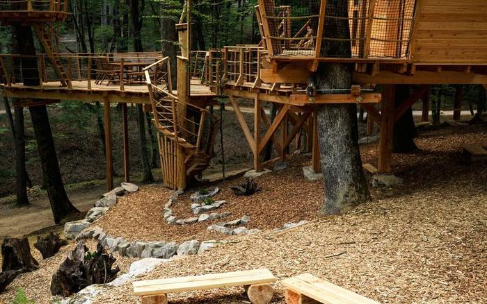 Treehouse VI