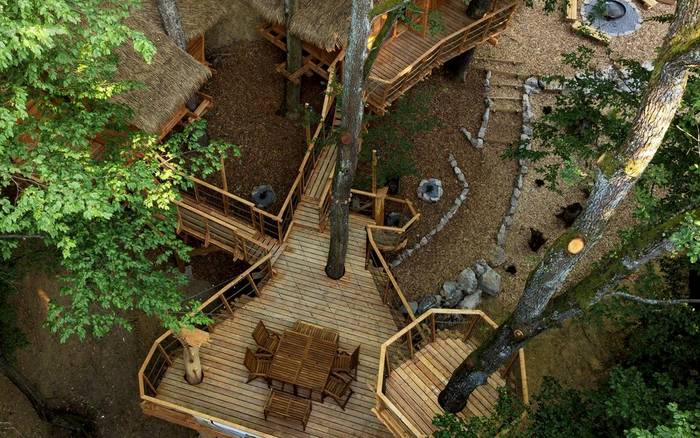 Treehouse VI