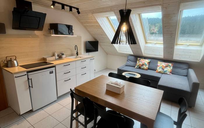 Podkrovní apartmán
