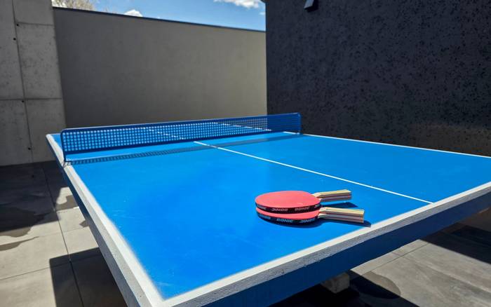 Stolný tenis
