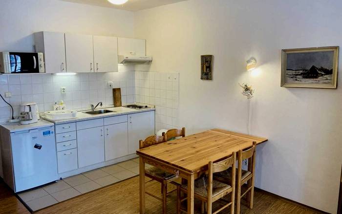 330 Studio s balkónem