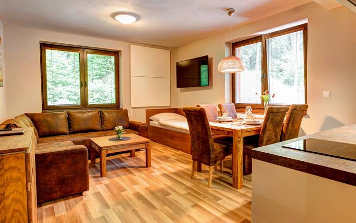 Štúdiový apartmán FAMILY s balkónom [3+3]