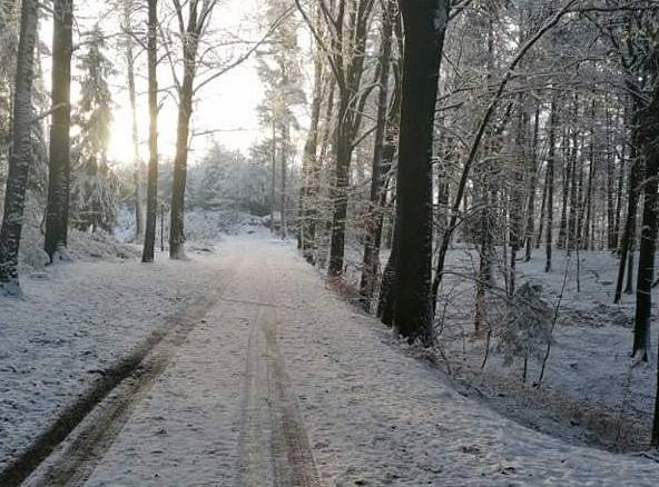 Prázdninový dům pod Valdštejnem