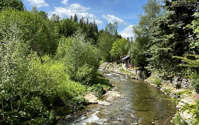 Okolie