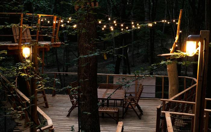 Treehouse VI