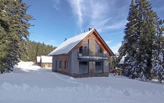 Chalet Martinky