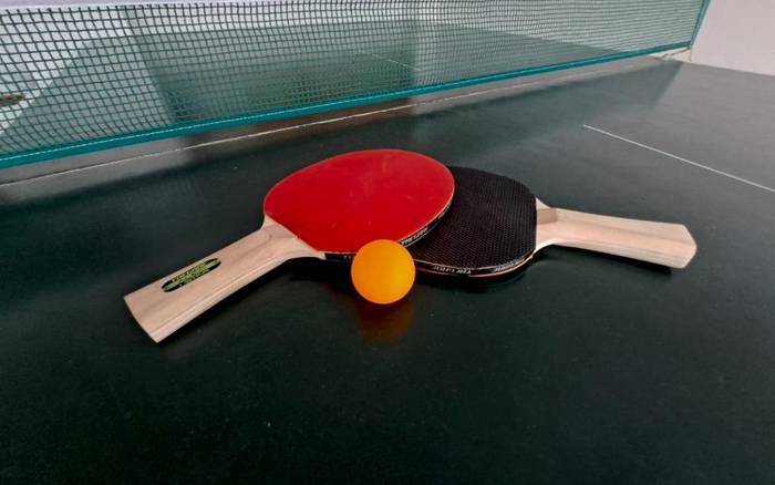 Stolní tenis