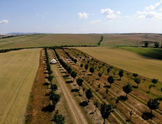 Glamping Moravské Toskánsko