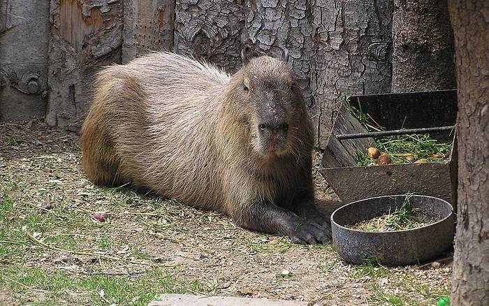 Čo treba vidieť v Bžanoch?