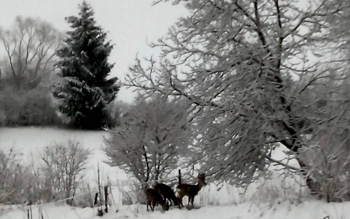 Chata pri Horárni Liptovské Kľačany