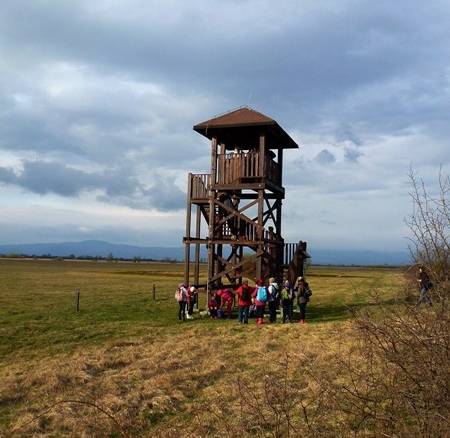 Výlet za prírodou: Senné - rybníky a vtáčí raj