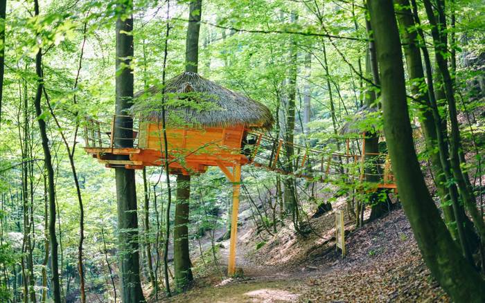 Treehouse I