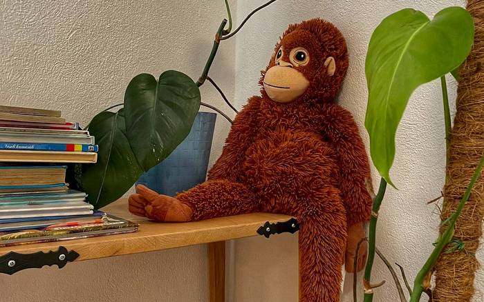 Toszkána felfedezése Nyitrán