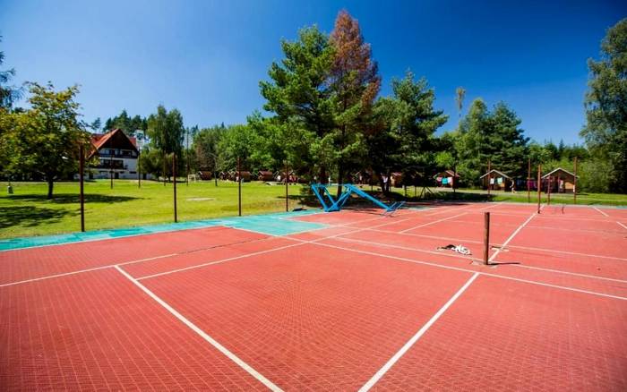 Tenis
