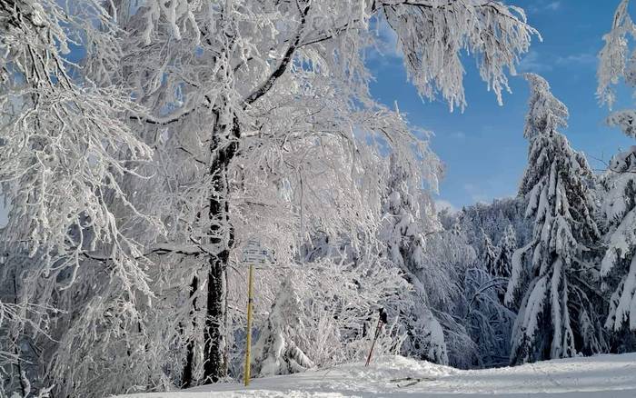 Ski Lake Cottage Krpáčovo