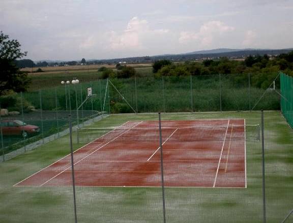 Tenis