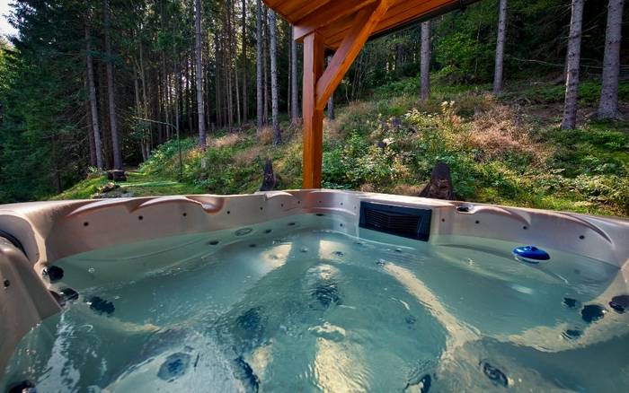Wellness
