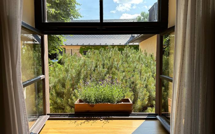 Apartmán paní kněžny