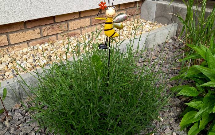 Chata Levandula