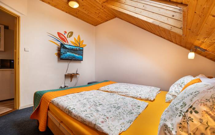 APĽ - apartmán pre 4 osoby , bez balkóna,izba 1