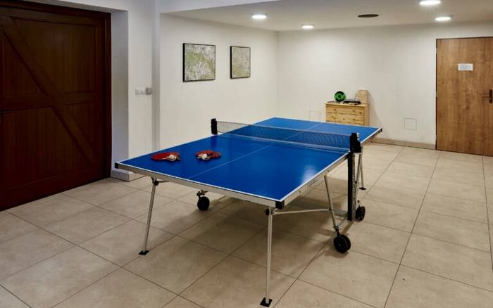Stolní tenis