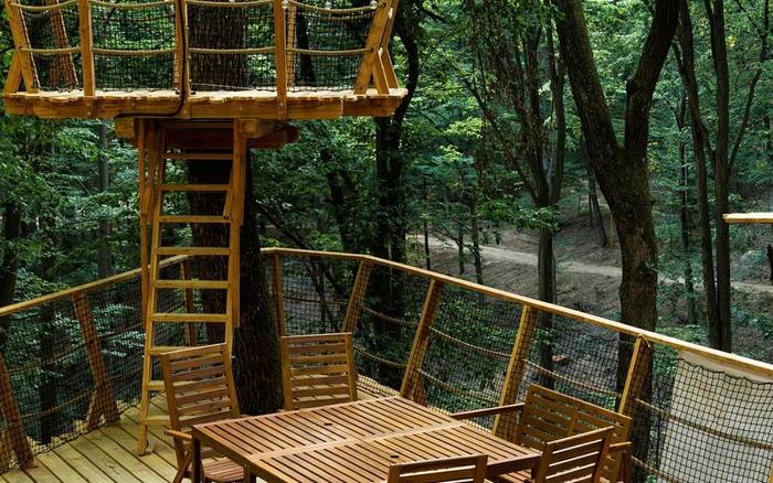 Treehouse VII