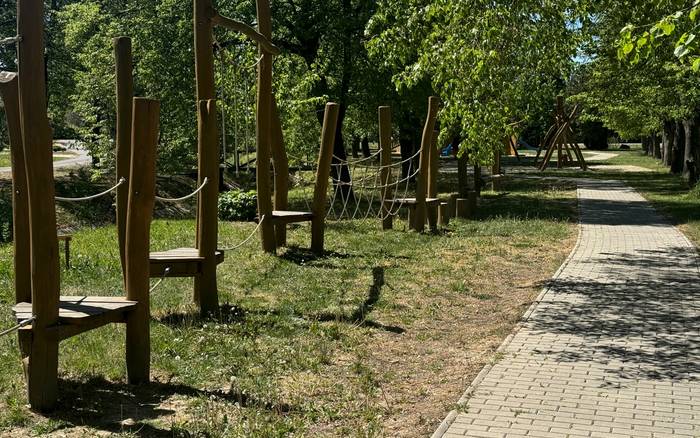 Проживання за зеленою туєю