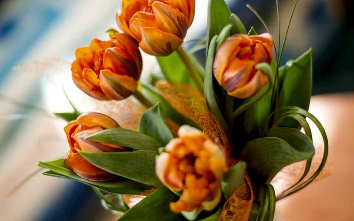 Jednolůžkový pokoj