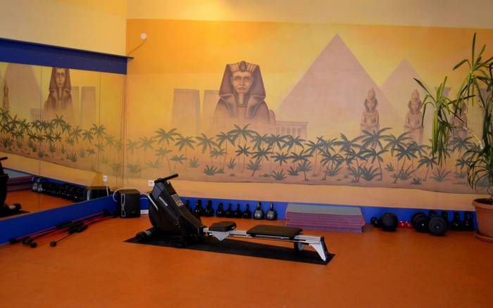 Fitness