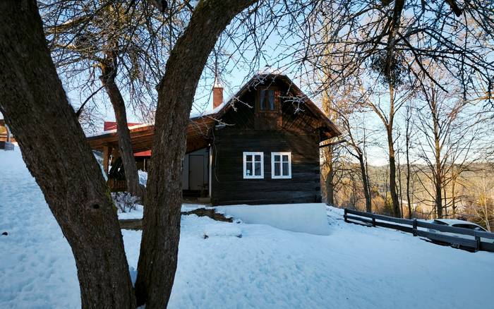 Дерев'яна хата у лікарки