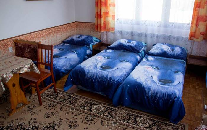 Pokoj Alyša