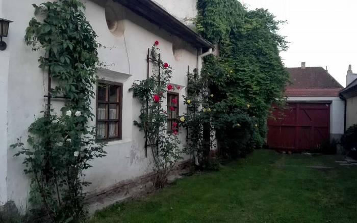 dvůr
