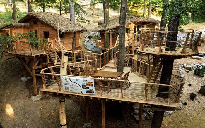 Treehouse VI