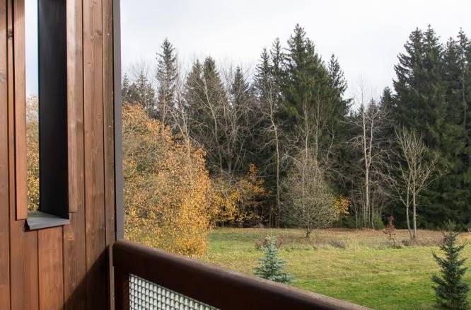 Apartmán Deluxe s kuchyňkou a balkónem