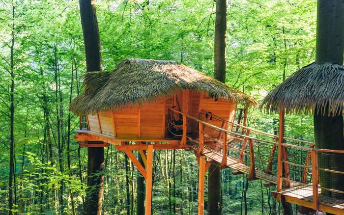 Treehouse I