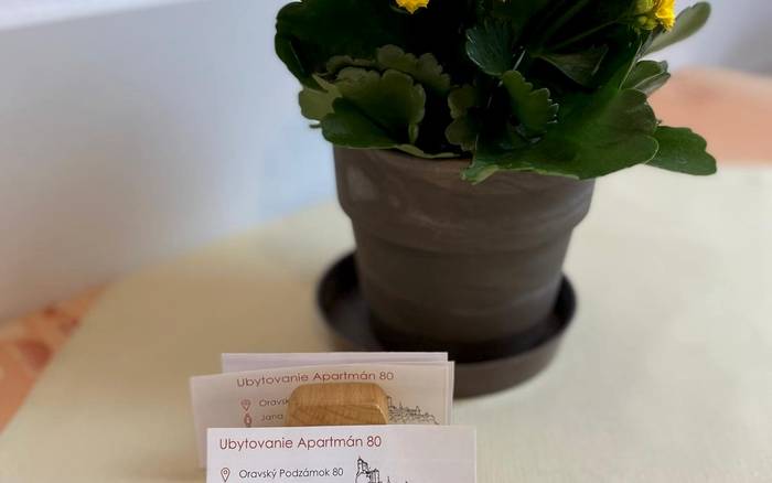 Apartmán 80