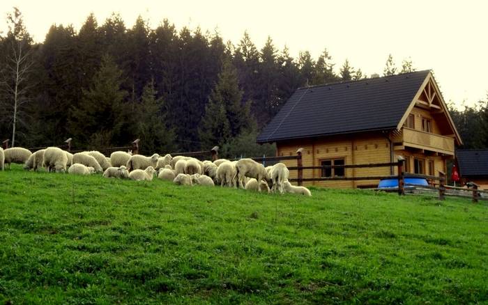 Exteriér