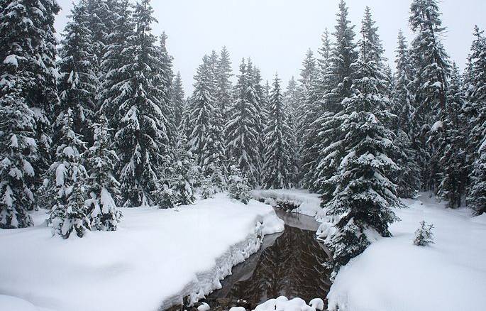 Ski areál Bedřichov patří v Česku k nejnámějším. Přijeďte také.