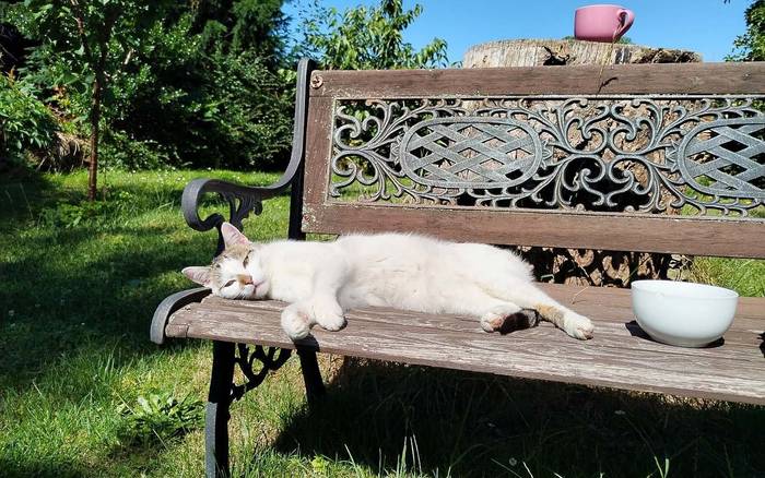 zahrada relax pohoda