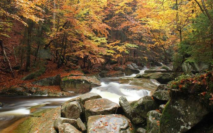 Harrachov má turistům co nabídnout