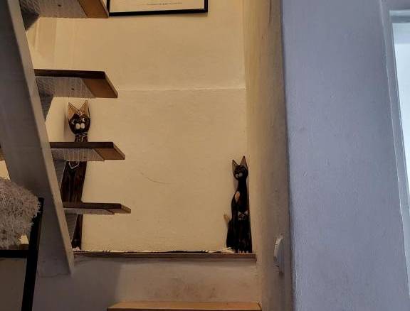 Horská chata v srdci Kremnických hôr