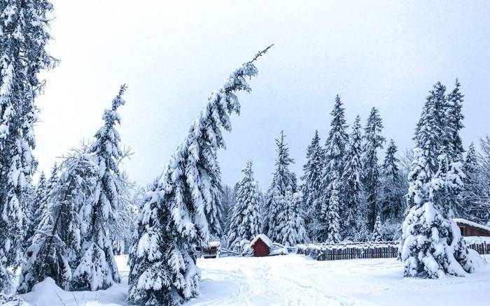 Chalet Strachan v zime