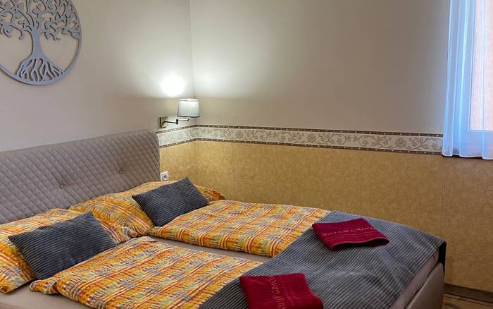 Villa Gracia Patince