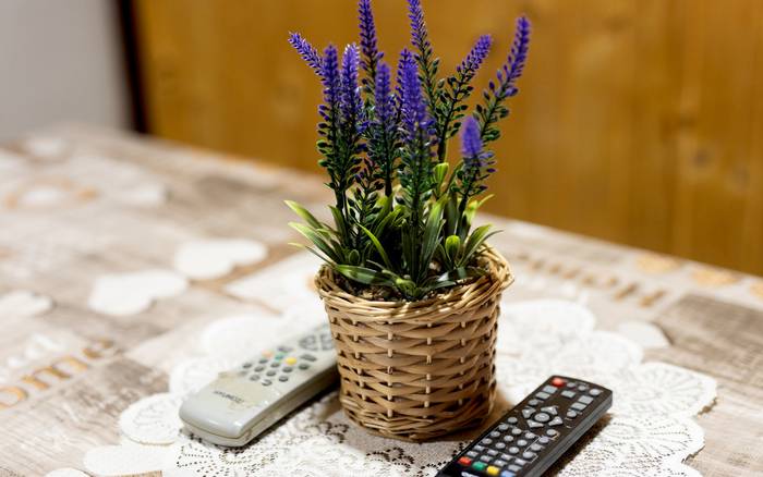 Klasická drevenica - stará časť