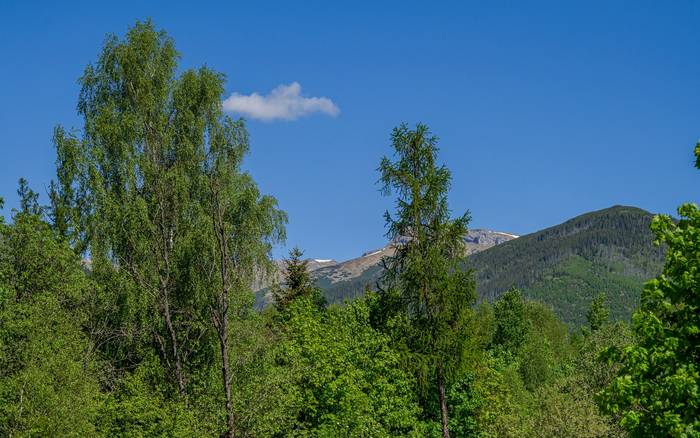 Вілла Матляре