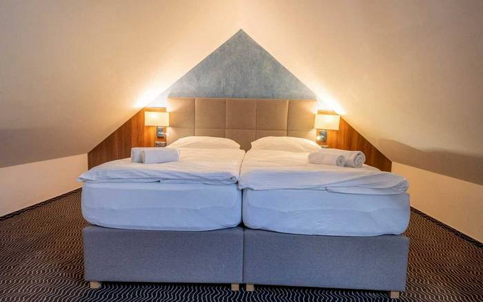 Apartmán se saunou a vířivou vanou (Wellness Hotel)