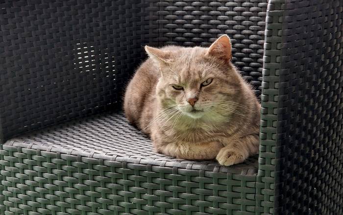 Apartmán Erika Bešeňová