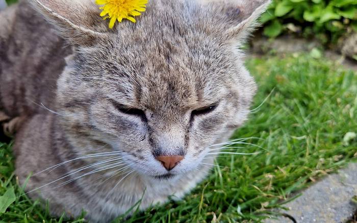 Apartmán Erika Bešeňová