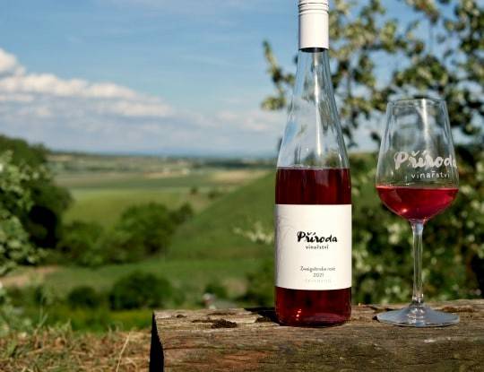 Glamping na kopečku u vinohradu