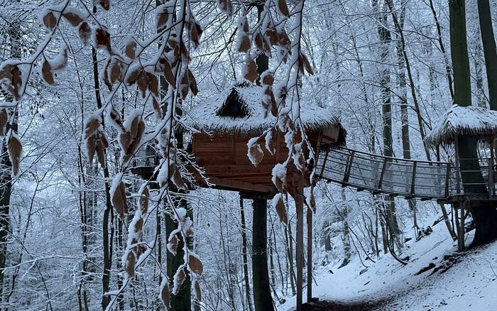 Treehouse Trenčianske Teplice